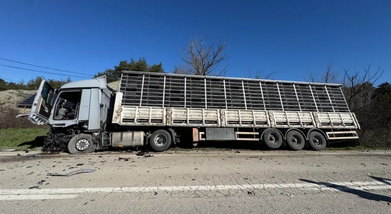 Bolu'da tırla çarpışan otomobilin sürücüsü öldü