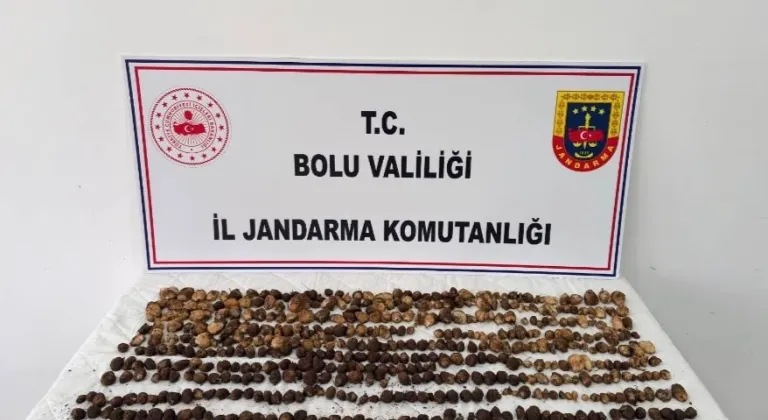 Bolu'da yabani salep toplayan 3 kişiye toplam 2 milyon lira ceza