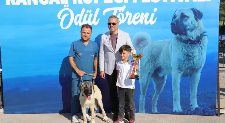 "Bozkırın Aslanı" Kangal köpekleri, ırkının en güzeli seçilmek için yarıştı