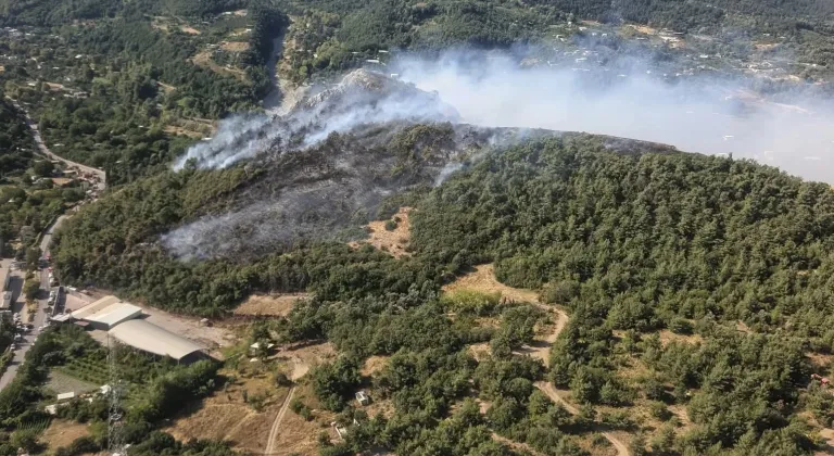 Bursa'da 3 farklı alanda çıkan orman yangınlarına müdahale ediliyor