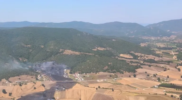 Bursa'da çıkan orman yangınına müdahale ediliyor