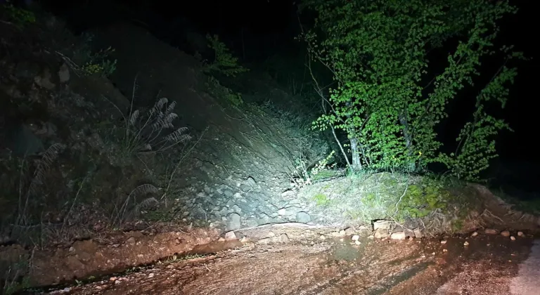 Bursa'da heyelan nedeniyle köy yoluna ağaçlar ve toprak yığınları düştü