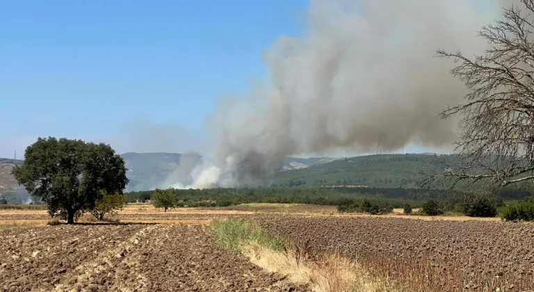 Bursa'da orman dışı alanda çıkan yangına müdahale ediliyor