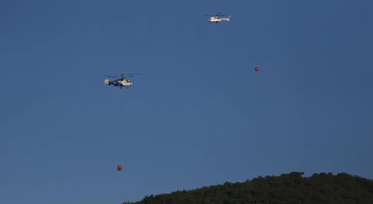 Çanakkale Ayvacık'taki orman yangınına müdahale sürüyor