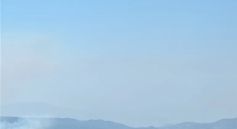 Çanakkale'de zirai alanda çıkan yangına müdahale ediliyor