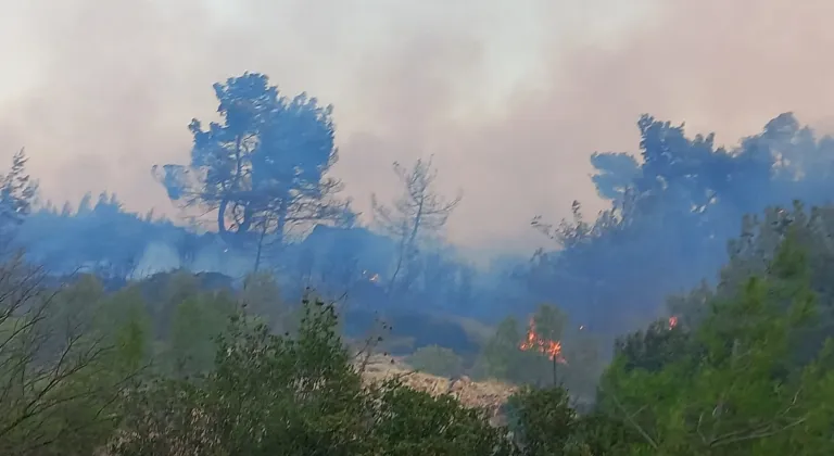 Çanakkale'nin Ezine ilçesinde ormanlık alanda çıkan yangına müdahale ediliyor