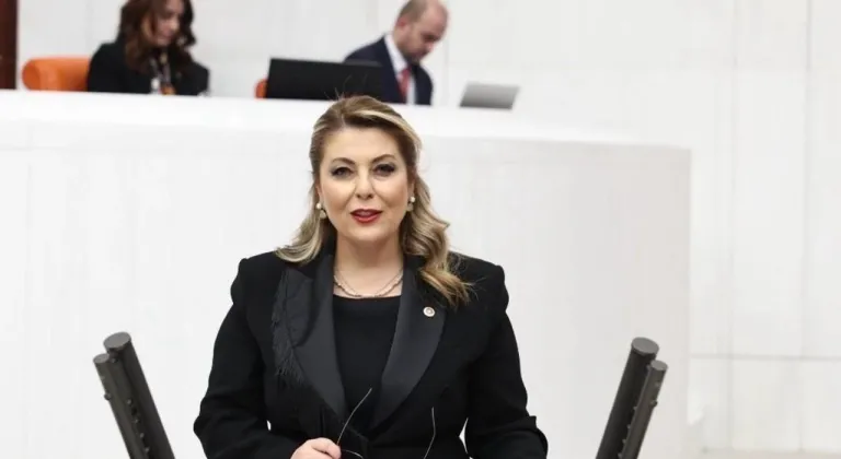 CHP Giresun Milletvekili Elvan Işık Gezmiş sordu; Dal-çık ne oldu?