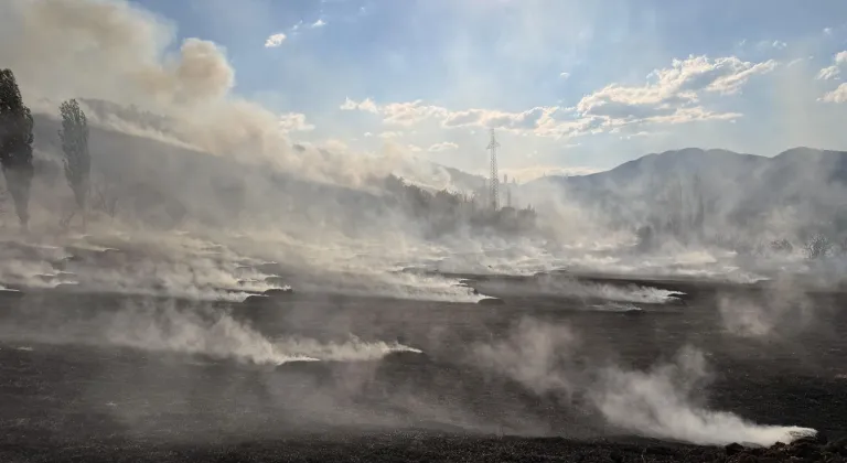 Çorum'da ormanlık alana sıçrayan yangına müdahale ediliyor