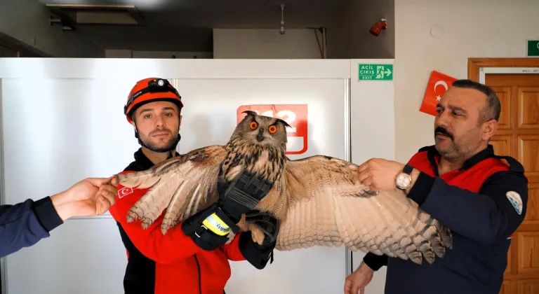 Çorum'da yaralı bulunan puhu tedavi altına alındı