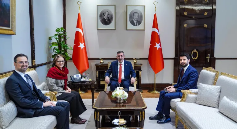 Cumhurbaşkanı Yardımcısı Yılmaz, Brezilya'nın Ankara Büyükelçisi Santos'u kabul etti: