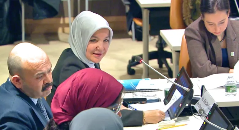 Darülaceze "iyi uygulama örneği" olarak BM'de tanıtıldı