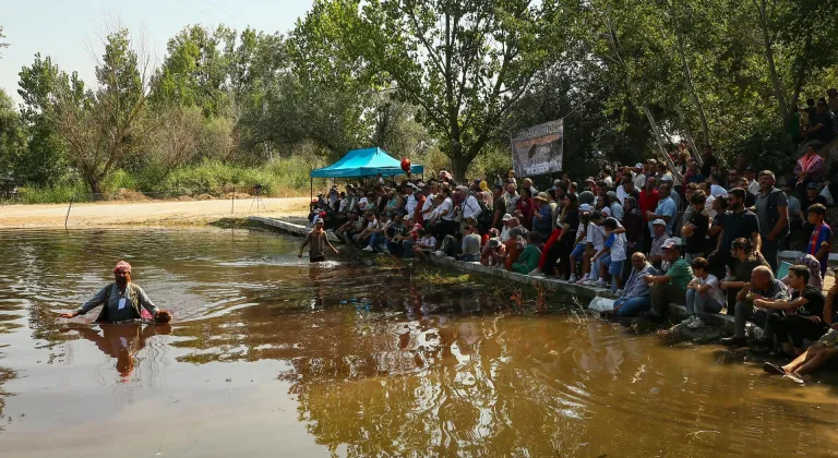 Denizli'de çobanlar, "elci" koyunlarıyla sudan geçmek için yarıştı