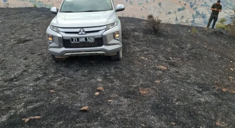 Diyarbakır'da çıkan anız ve orman yangınları söndürüldü