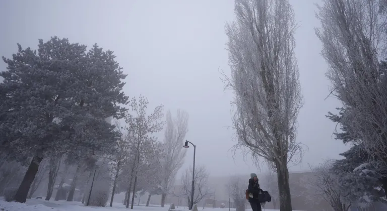 Doğu Anadolu'da 5 ilde soğuk hava ve sis etkili oluyor