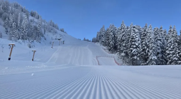 Doğu Karadeniz'de 400 köy yolunda karla mücadele sürüyor