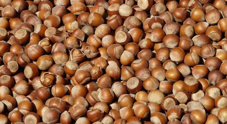 Doğu Karadeniz’in ocak ayı ihracatı 125,5 milyon doları geçti