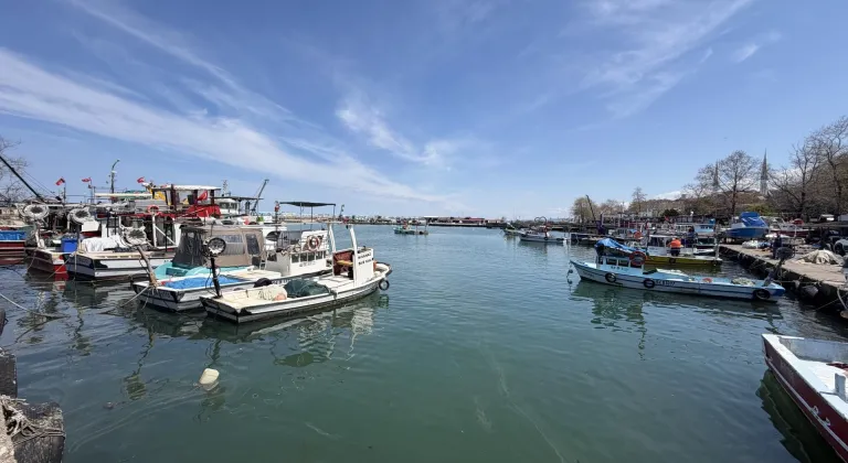 Düzce'de balıkçılar kıyı avcılığından umutlu