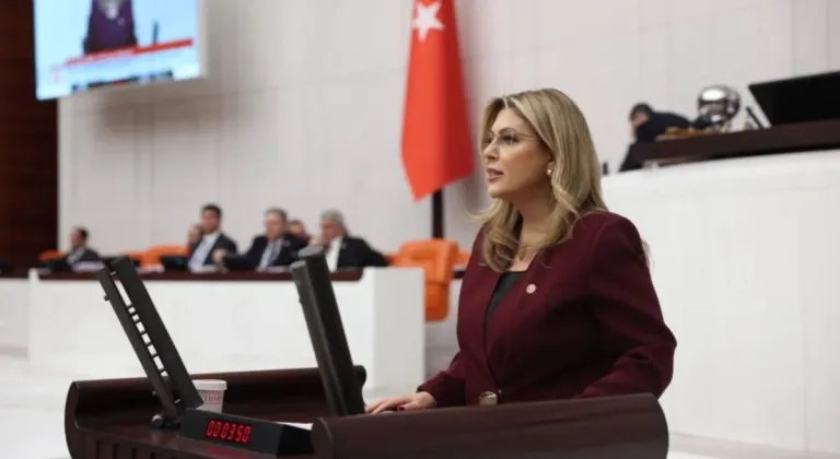 Eczacı ve diş hekimi atamaları meclis gündemine taşındı