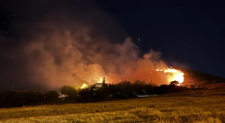Elazığ'da bahçelik ve otluk alanda çıkan yangın söndürüldü