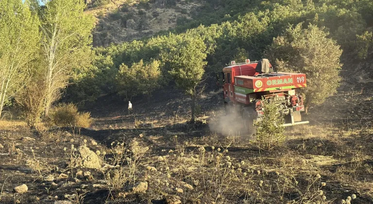 Elazığ'da ormanlık alanda çıkan yangın söndürüldü