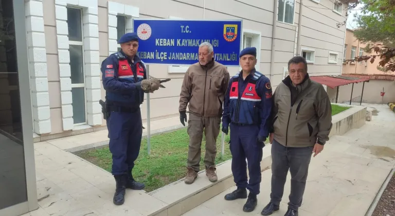 Elazığ'da yaralı bulunan kartal tedavi altına alındı