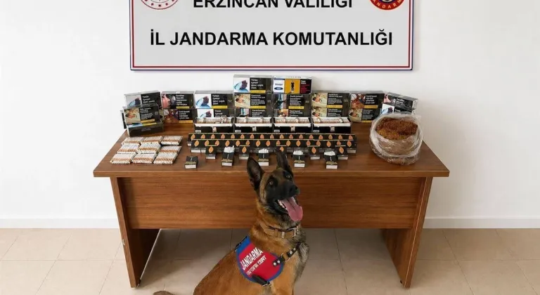 Erzincan'da DEAŞ ve narkotik operasyonlarında 18 zanlı tutuklandı
