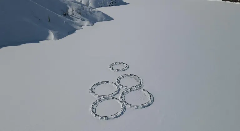 Erzincan'daki Göyne Barajı soğuk havanın etkisiyle dondu