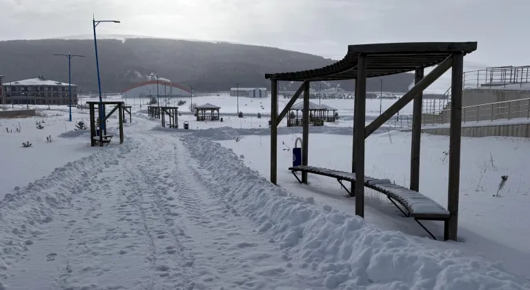 Erzurum, Ardahan, Kars ve Tunceli'de soğuk hava etkili oluyor