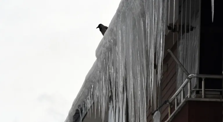 Erzurum, Kars ve Ardahan'da kar ile soğuk hava etkili oluyor