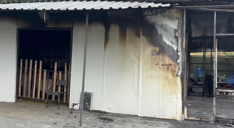 Eyüpsultan'da adak kurban satış merkezinde çıkan yangında 1 kişi öldü