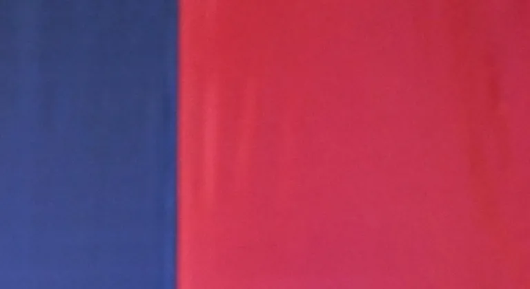 Fenerbahçe Kulübü Yüksek Divan Kurulu Toplantısı