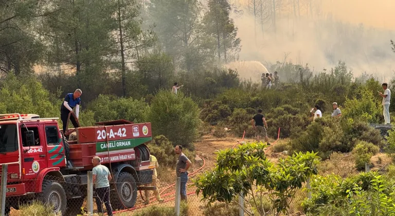 Fethiye'de orman yangını çıktı