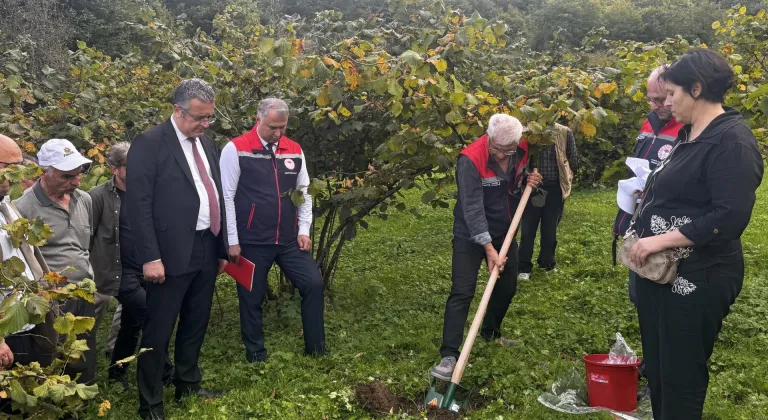 Fındıkta randıman ve üretimi artırmak için FINDEK projesi başlatıldı