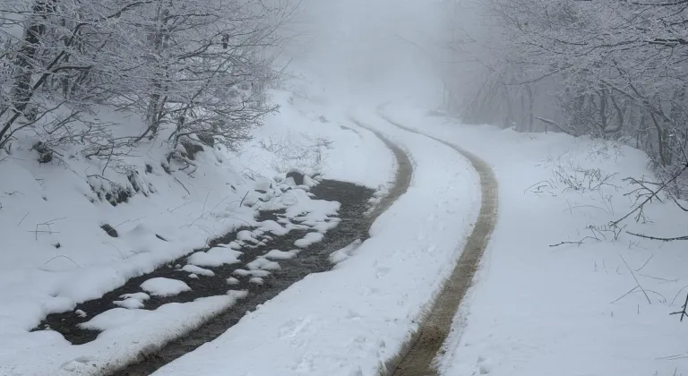 Ganos Dağı eteklerinde karla kaplanan ormanlar güzel görüntü oluşturdu