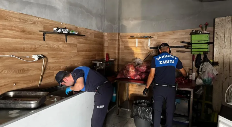 Gaziantep'te 500 kilogram et ve ciğer imha edildi