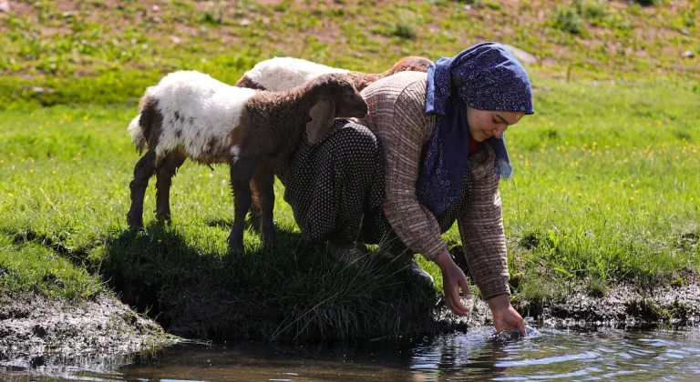 Göçer kız iki kuzuya adeta annelik yapıyor