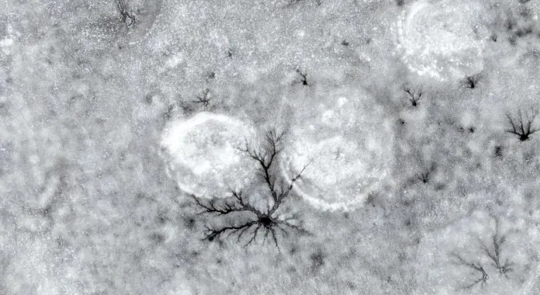 Gümüşören Barajı'nda soğuğun etkisiyle oluşan ve göz bebeklerine benzeyen buz oluşumları görüntülendi