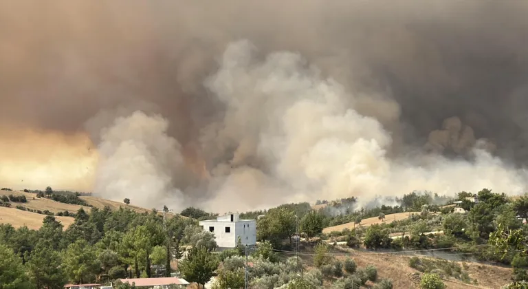 GÜNCELLEME 2 - Adana'nın Kozan ilçesinde iki noktada çıkan orman yangınlarından biri kontrol altında