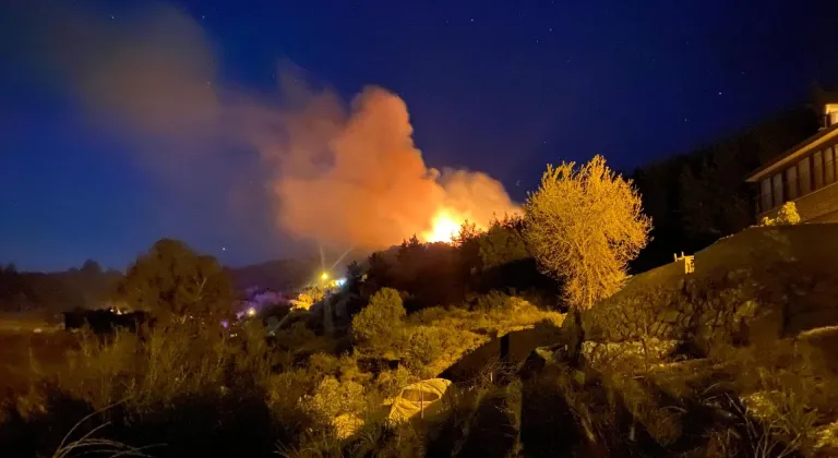 GÜNCELLEME - Antalya'da ormanlık alanda yangın çıktı