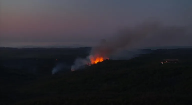 GÜNCELLEME - Beykoz'da ormanlık alanda çıkan yangına müdahale sürüyor