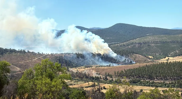 GÜNCELLEME - Bursa'da çıkan orman yangını kontrol altına alındı