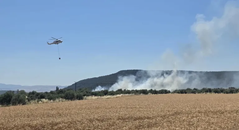 GÜNCELLEME - Çanakkale'de tarım arazisinde çıkan yangın söndürüldü