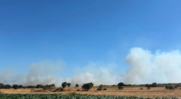 GÜNCELLEME - Çanakkale'nin Biga ilçesinde tarım arazisinden ormanlık alana sıçrayan yangına müdahale ediliyor