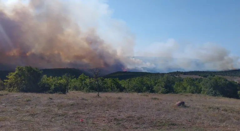 GÜNCELLEME - Kocaeli'de ormanlık alanda çıkan yangına müdahale ediliyor