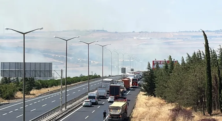 GÜNCELLEME - Silivri'de otluk ve ağaçlık alanda çıkan yangına karadan ve havadan müdahale ediliyor