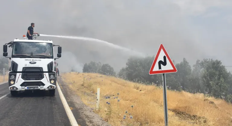 GÜNCELLEME - Şırnak'ta ormanlık alana sıçrayan yangın kontrol altına alındı