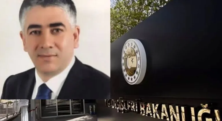 Hacı Ali Özel, Dışişleri bakan yardımcılığına atandı