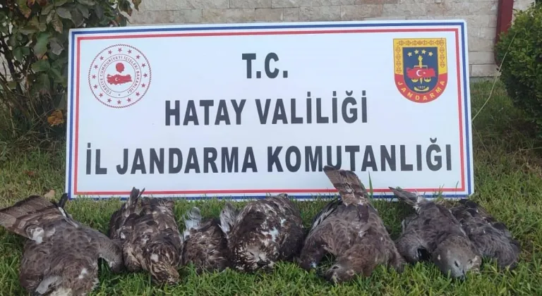 Hatay'da arı şahini avlayan kişiye 1 milyon 330 bin lira ceza uygulandı