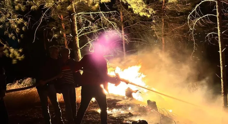 Hatay'da çıkan orman yangını kontrol altına alındı