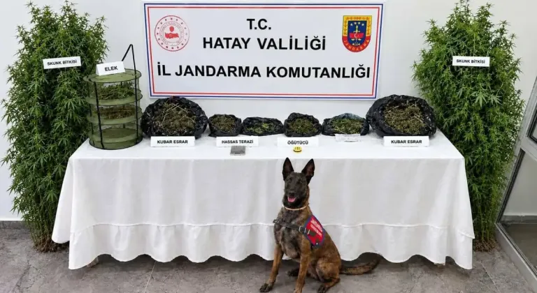 Hatay’da uyuşturucu operasyonu: Esrar ve Skunk ele geçirildi